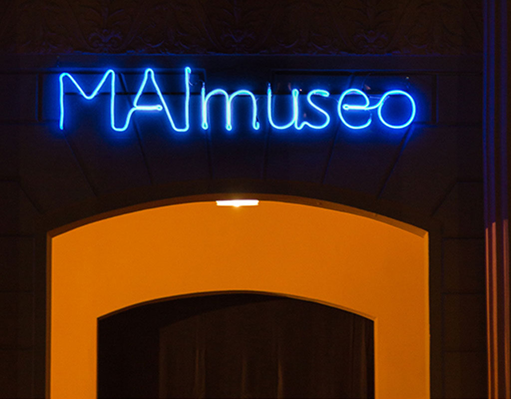 Flex Neon LED,illuminazione flessibile,LED sicuri,tubi LED,alta luminosità,installazione facile,effetti visivi